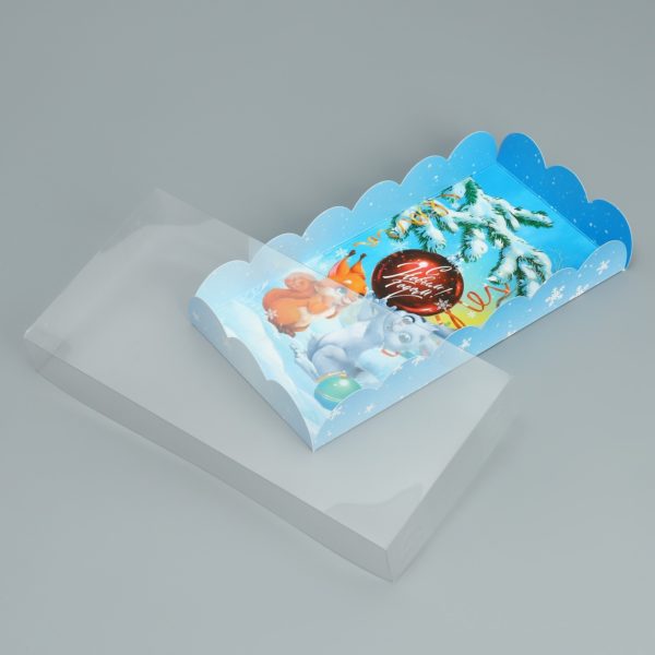 Коробка для кондитерских изделий с PVC крышкой «Зайка и белочка», 10.5 × 21 × 3 см